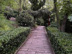 -观象山公园