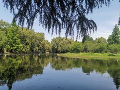 -上海共青森林公园