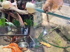 -正佳雨林生态植物园
