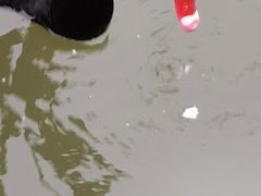 -南翠屏公园