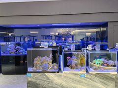 -1013 PET SHOP精品宠物商店(丁香店)