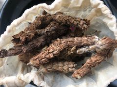 -上海市中医医院(石门路院区)