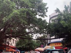 -小洲村