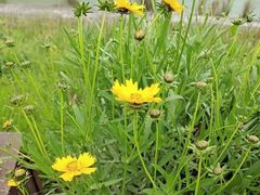 -阆辣荟餐饮(老味道8年·古城店)