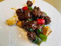 -菩提树·素食餐厅(汇智国际商业中心店)