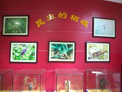-上海昆虫博物馆
