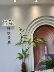 -皙塑美肤·spa