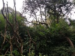 -和平区健康主题公园