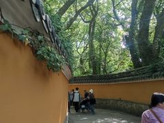 -普陀山风景名胜区-法雨禅寺