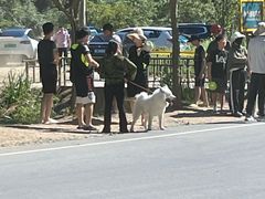 -将军关探险漂流