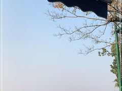 -游心咖啡(青山滨江店)