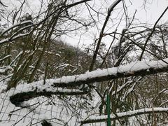 -九峰山