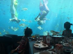 -瑞德姆美人鱼海底演艺主题餐厅(亚龙湾店)