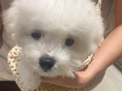 -泡泡玛特POPMART(北国先天下店)