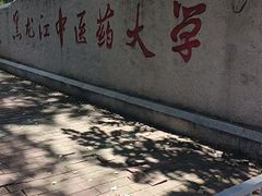 -黑龙江中医药大学