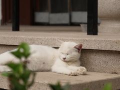 -隆福寺
