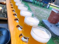 啤酒-九十九顶毡房(阜石路店)