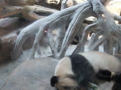 -宁波野生动物园