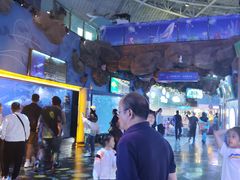 -烟台海昌鲸鲨海洋公园