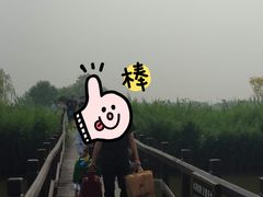 -西青郊野公园
