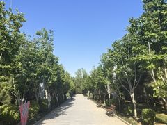 -南宫五洲植物乐园