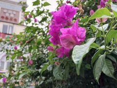 -玉林生活广场