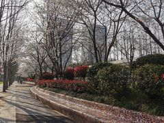-砂之船奥莱(南京江宁店)