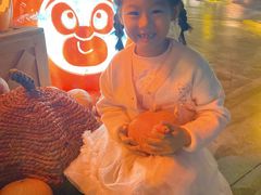 -郑州方特梦幻王国