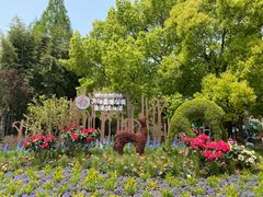 -上海滨江森林公园
