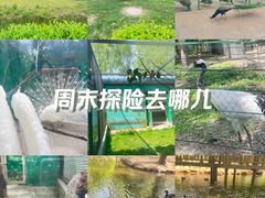 -沈阳鸟岛