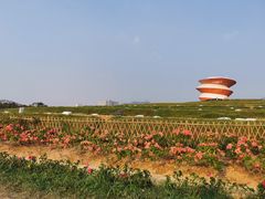 -光明小镇欢乐田园
