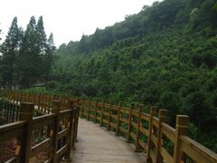 -凤栖山