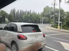 -白洋淀景区