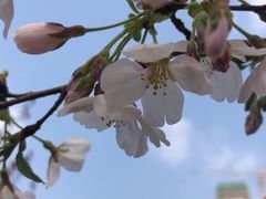 -西北湖绿化广场