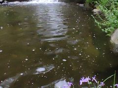 -天津盘山风景名胜区