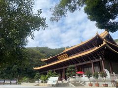 -黄埔油麻山森林公园