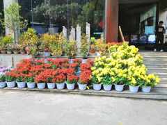 -天怡·鱼工厂(梅溪湖店)
