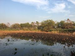-长兴太湖图影湿地文化园