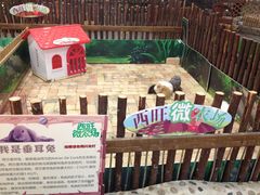 -开元商城(西旺店)