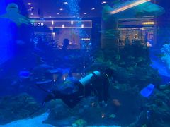 -成都浩海立方海洋公园