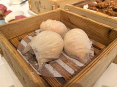 -广州酒家(越华店)