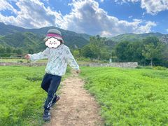 -紫云台香草园