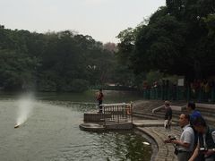 -屯门公园