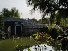 -洛阳市隋唐城遗址植物园