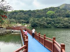 -黄埔油麻山森林公园