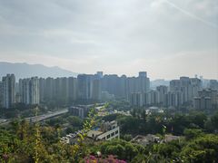 -金鸡山公园
