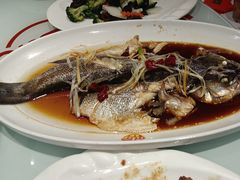 -添福来墨鱼饺子 · 海鲜东北菜(泡崖店)