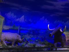 展览-中国第四纪冰川遗迹陈列馆