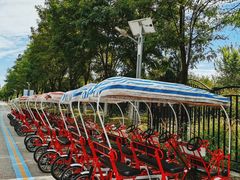 -永定河休闲森林公园