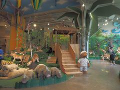 -济州岛泰迪熊博物馆